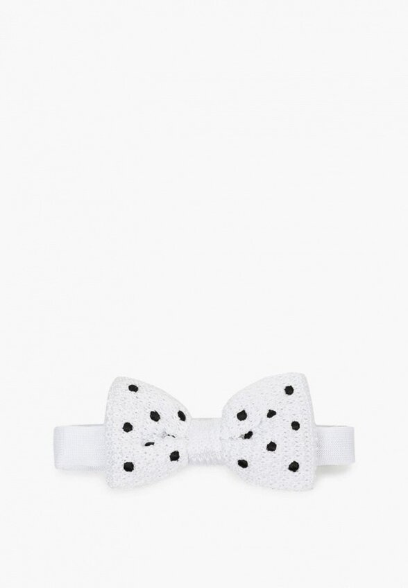 Бабочка Stenser