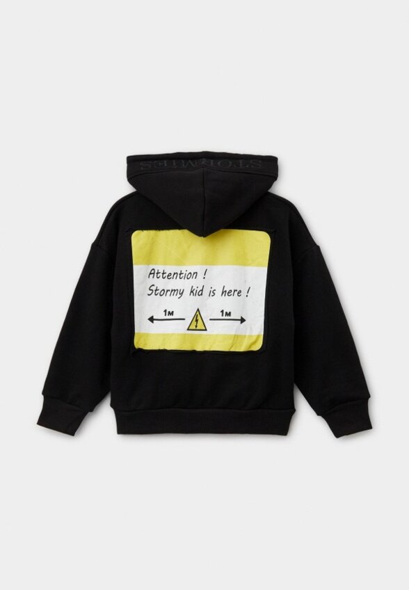 Толстовка Stormies