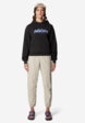 Брюки женские Mountain Hardwear Stryder Jogger, Бежевый3  - превью