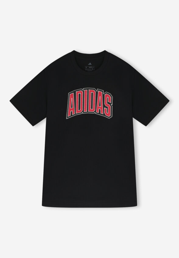 Футболка мужская Adidas Stad Colleg, Черный