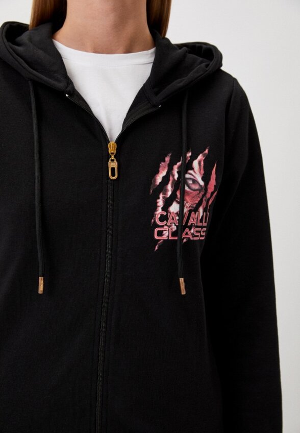 Толстовка Cavalli Class