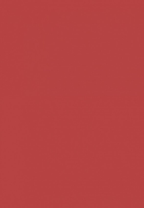 Помада жидкая L'Oreal Paris