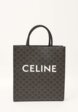 Celine Canvas Bag1  - превью