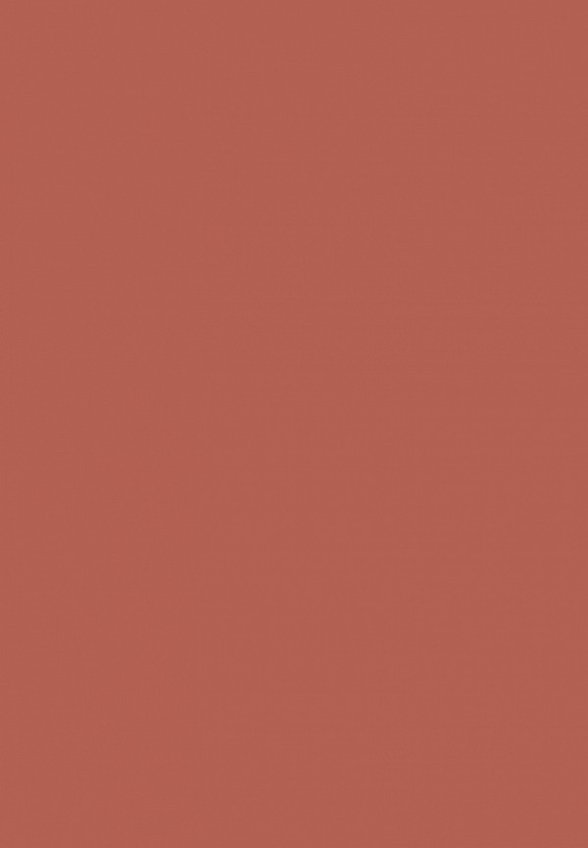 Помада Clarins