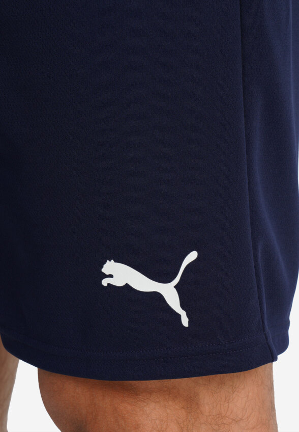 Шорты мужские PUMA Timerise, Синий