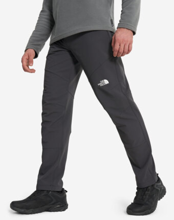 Брюки мужские The North Face Diablo Reg, Серый женщинам