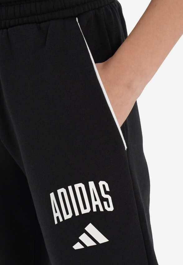 Брюки для мальчиков Adidas, Черный