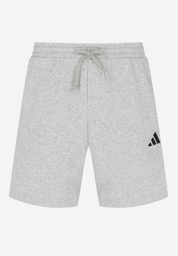 Шорты мужские Adidas, Серый