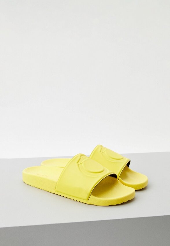 Сланцы Trussardi