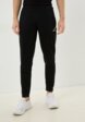 Брюки спортивные Demix1  - превью