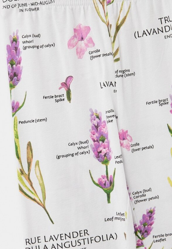 Леггинсы 2 шт. PlayToday