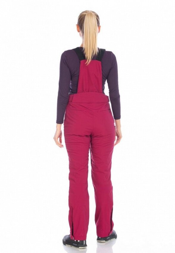 Брюки горнолыжные Forcelab