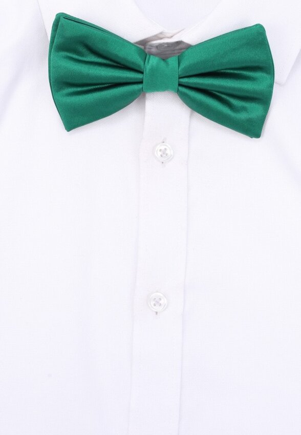 Бабочка Dolce&Gabbana