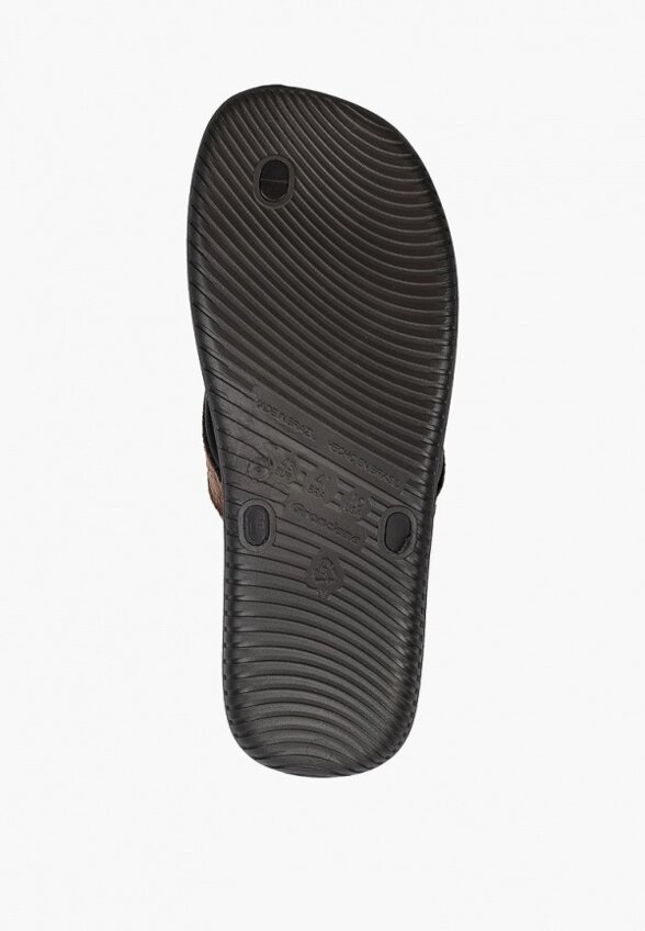 Сланцы Cartago