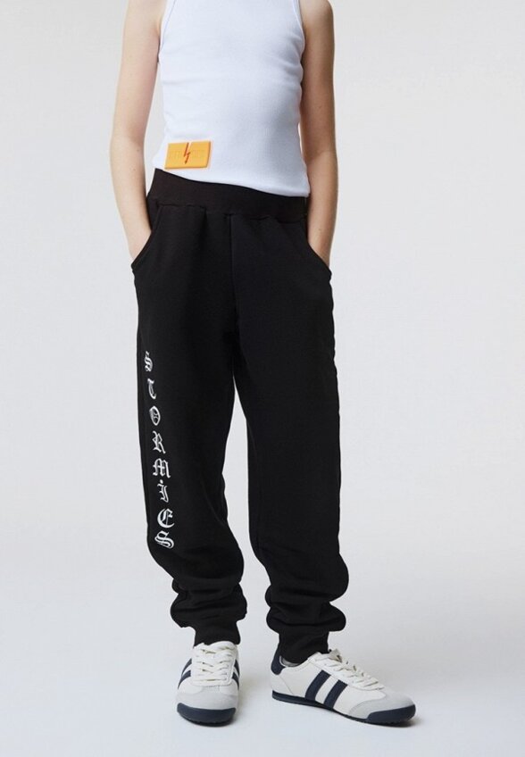 Брюки спортивные Stormies