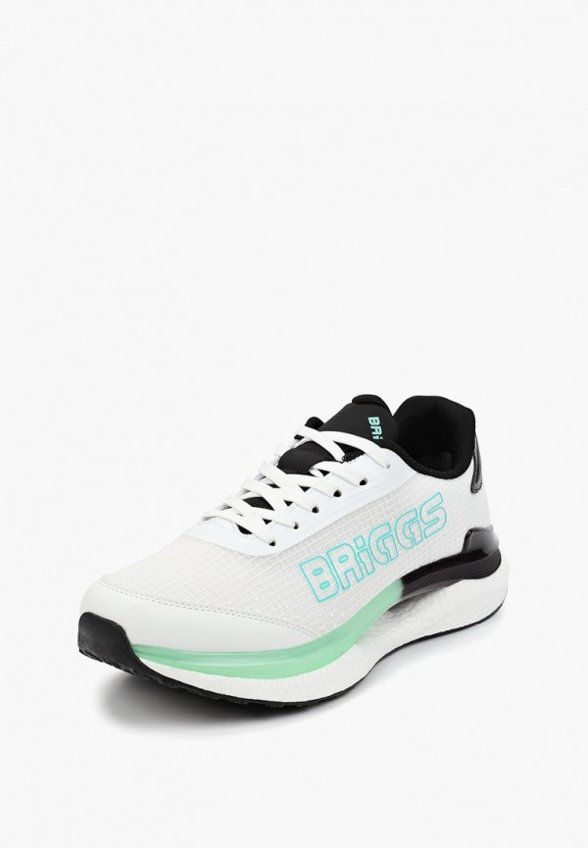 Кроссовки Briggs