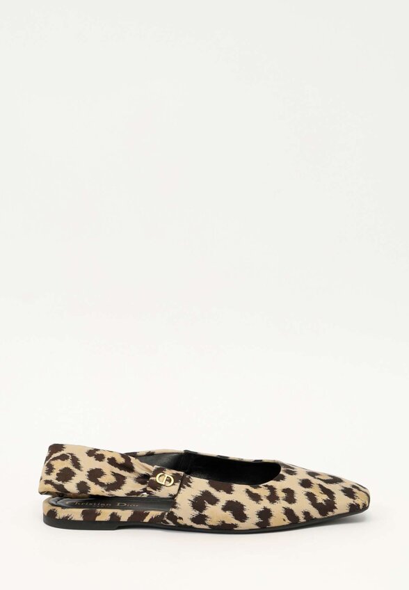 Dior Shoes