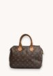 Louis Vuitton Speedy1  - превью