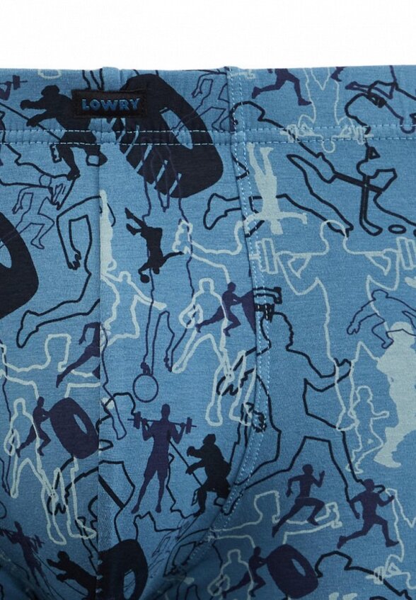 Трусы Lowry Collection