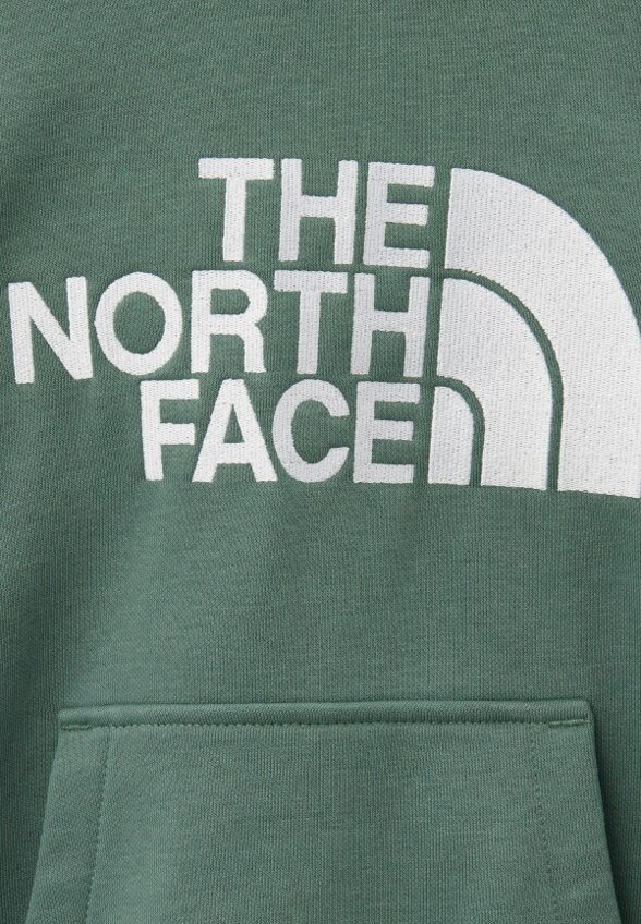 Худи The North Face