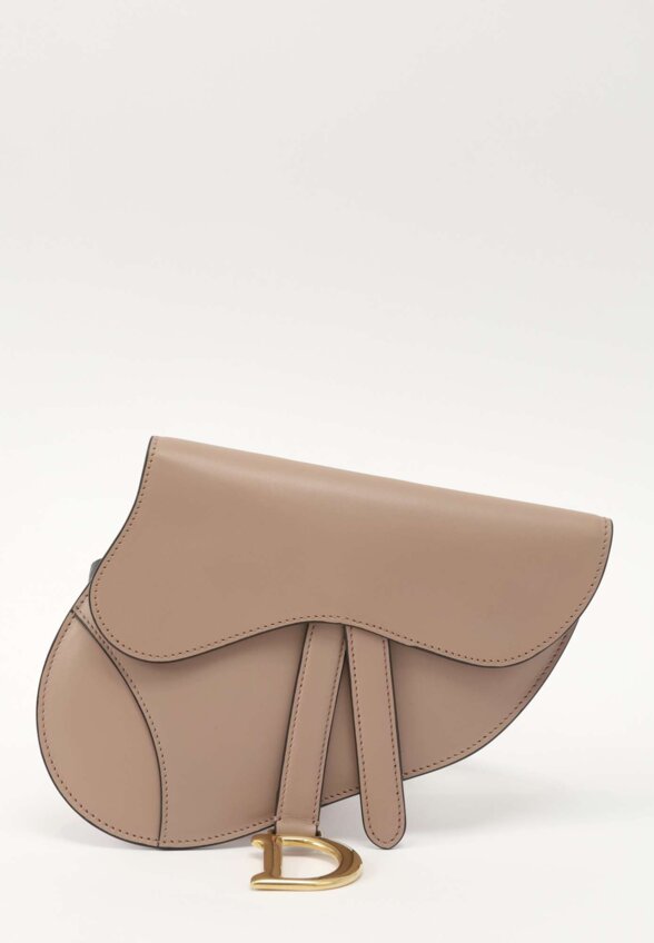 Dior Saddle