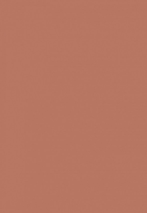 Помада жидкая L'Oreal Paris