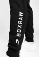 Брюки спортивные Boxraw5  - превью