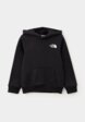 Худи The North Face1  - превью