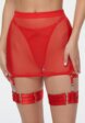 Бюстгальтер, трусы, пояс для чулок и подвязки 2 шт. Amazonka Underwear5  - превью