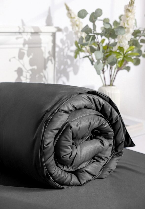 Постельное белье 1,5-спальное Soft Silver