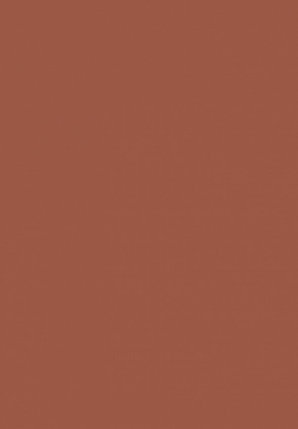 Жидкие тени для век Russian Beauty Guru