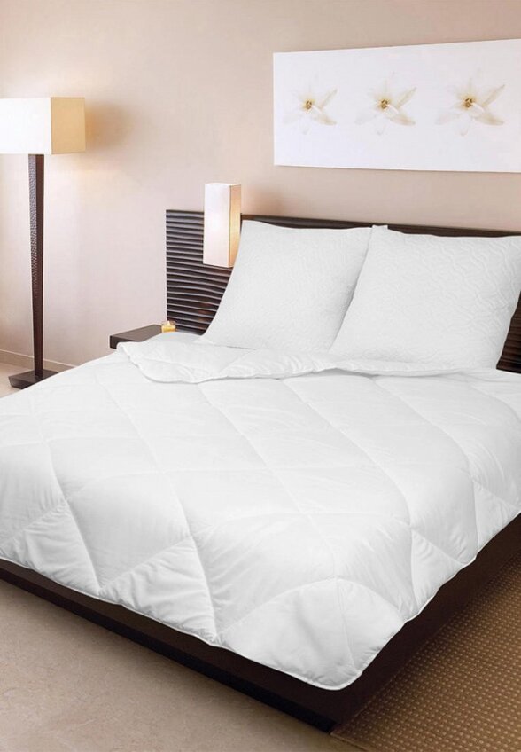 Одеяло 2-спальное Wellness