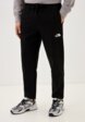 Брюки спортивные The North Face1  - превью