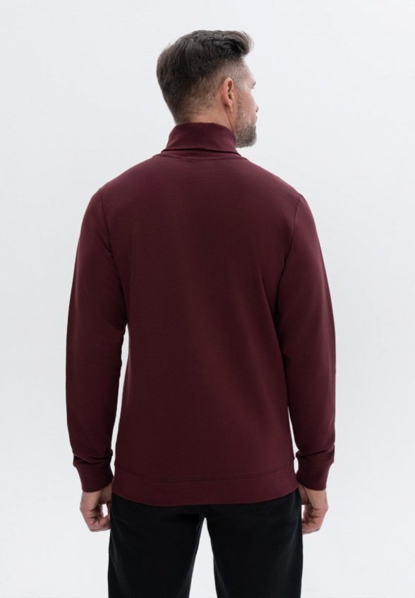 Водолазка Великоросс