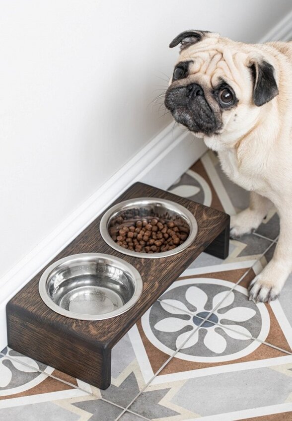 Миски 2 шт. Фоксвудрус