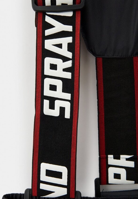 Брюки утепленные Sprayground