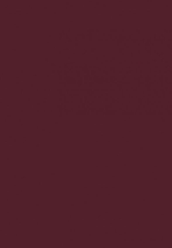 Карандаш для губ Astra