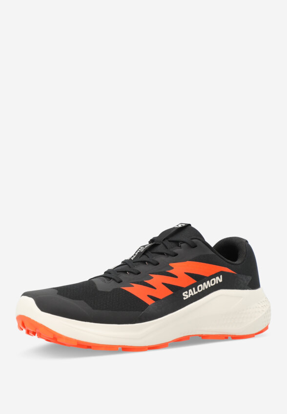 Кроссовки мужские Salomon Alphaglide, Черный