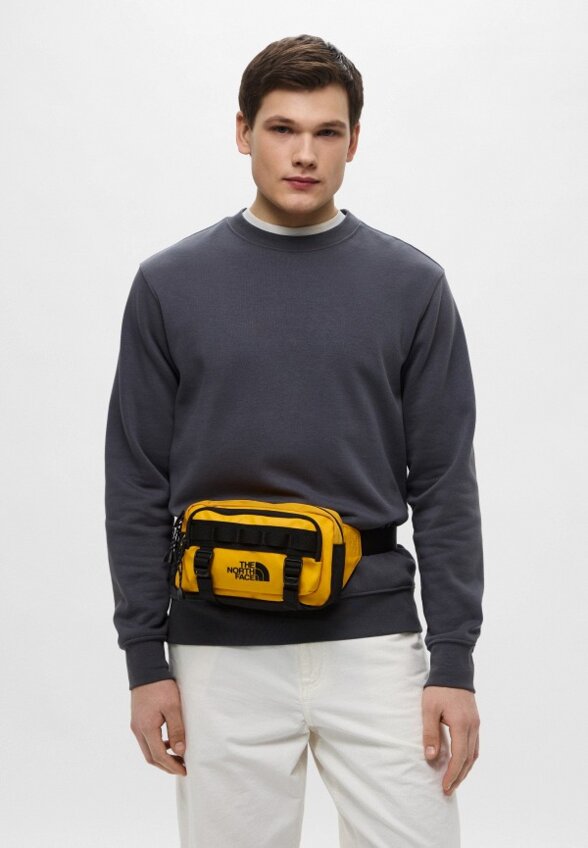 Сумка поясная The North Face