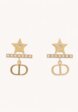 Dior Earrings1  - превью