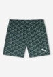 Шорты плавательные мужские PUMA Swim, Зеленый1  - превью