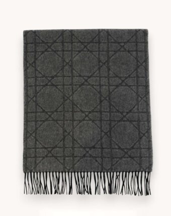 Dior Scarf женщинам