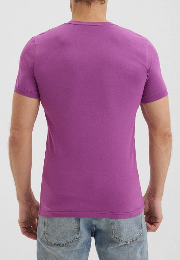 Футболка Envylab