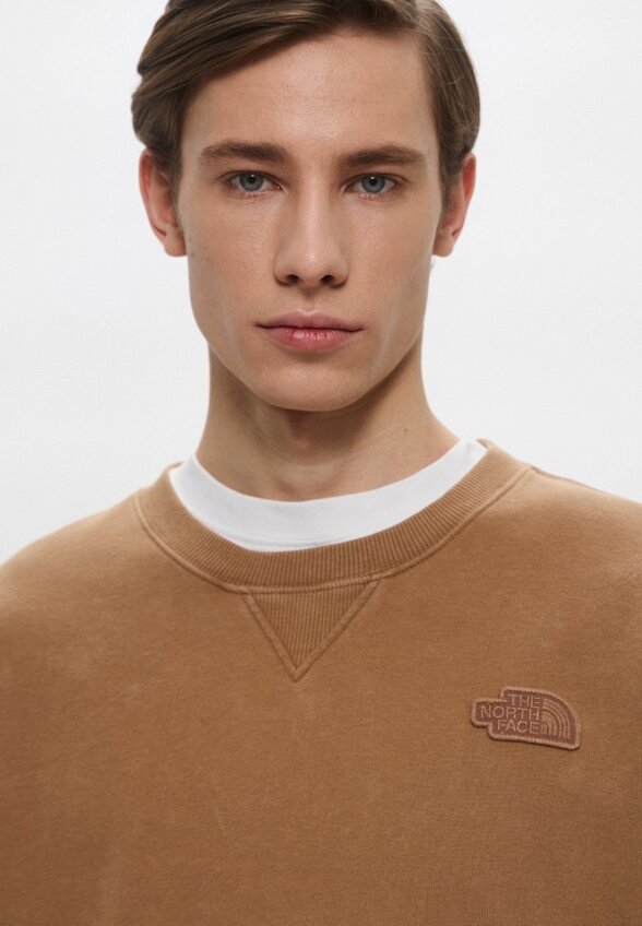 Свитшот The North Face