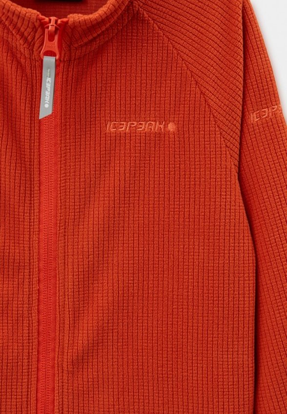 Олимпийка Icepeak