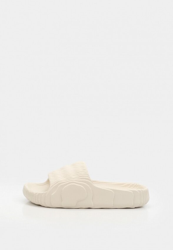 Сланцы Indefini