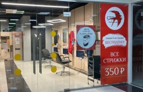 Стрижи
