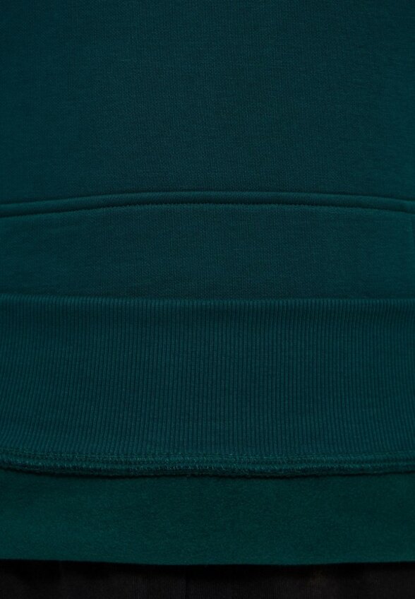 Худи The North Face