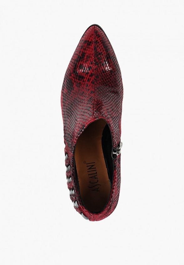 Ботильоны Ascalini