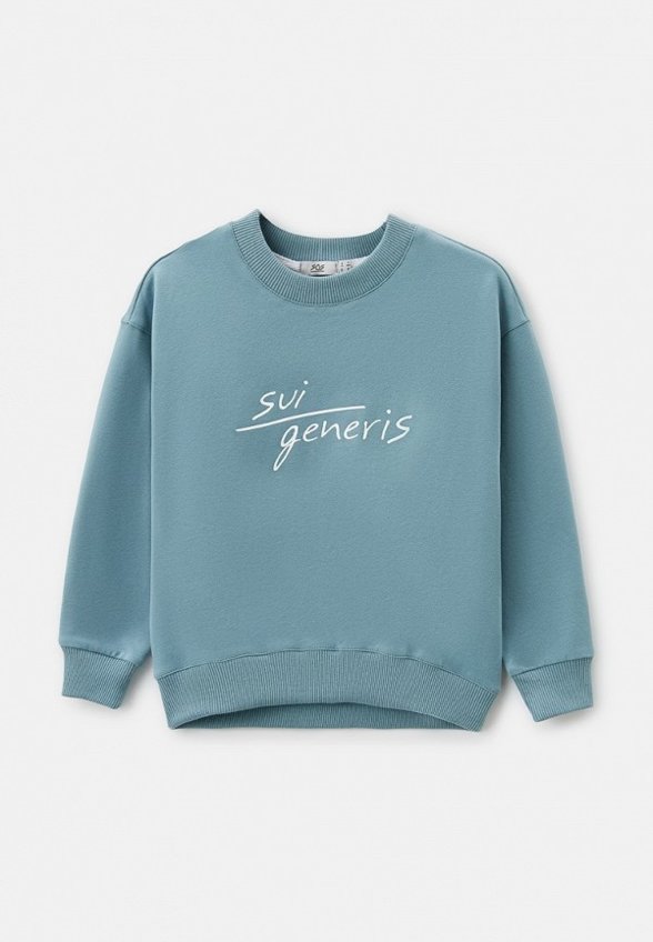 Свитшот Sui Generis